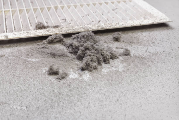 Best Air Duct Cleaning Near Me  in Sunnyvale, TX