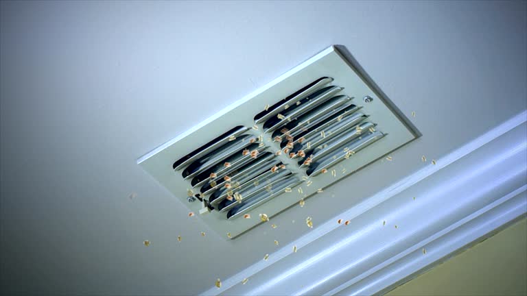 Best HVAC System Cleaning  in Sunnyvale, TX