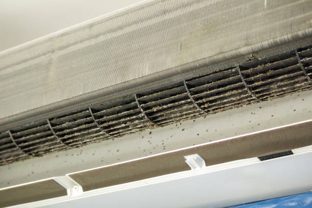 Best General Air Duct Cleaning  in Sunnyvale, TX